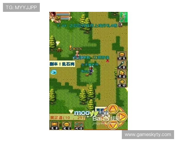 开云ty游戏角色养成指南详解从新手到高手的成长路径分析